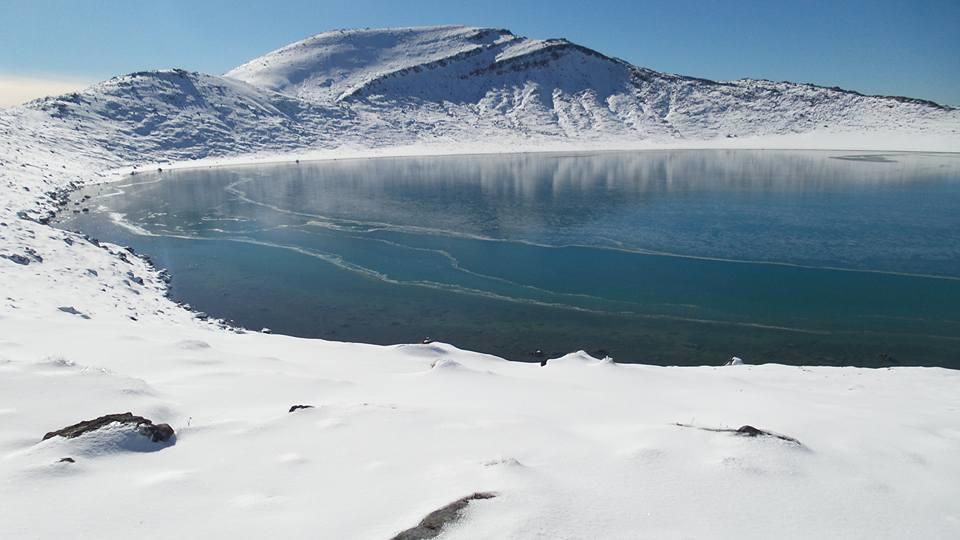 Tongariro River Retreat تورانجي المظهر الخارجي الصورة